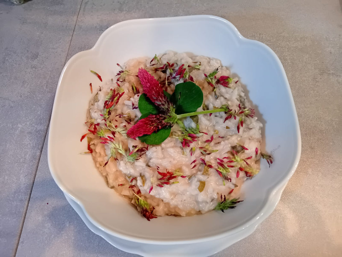 Risotto al trifoglio incarnato