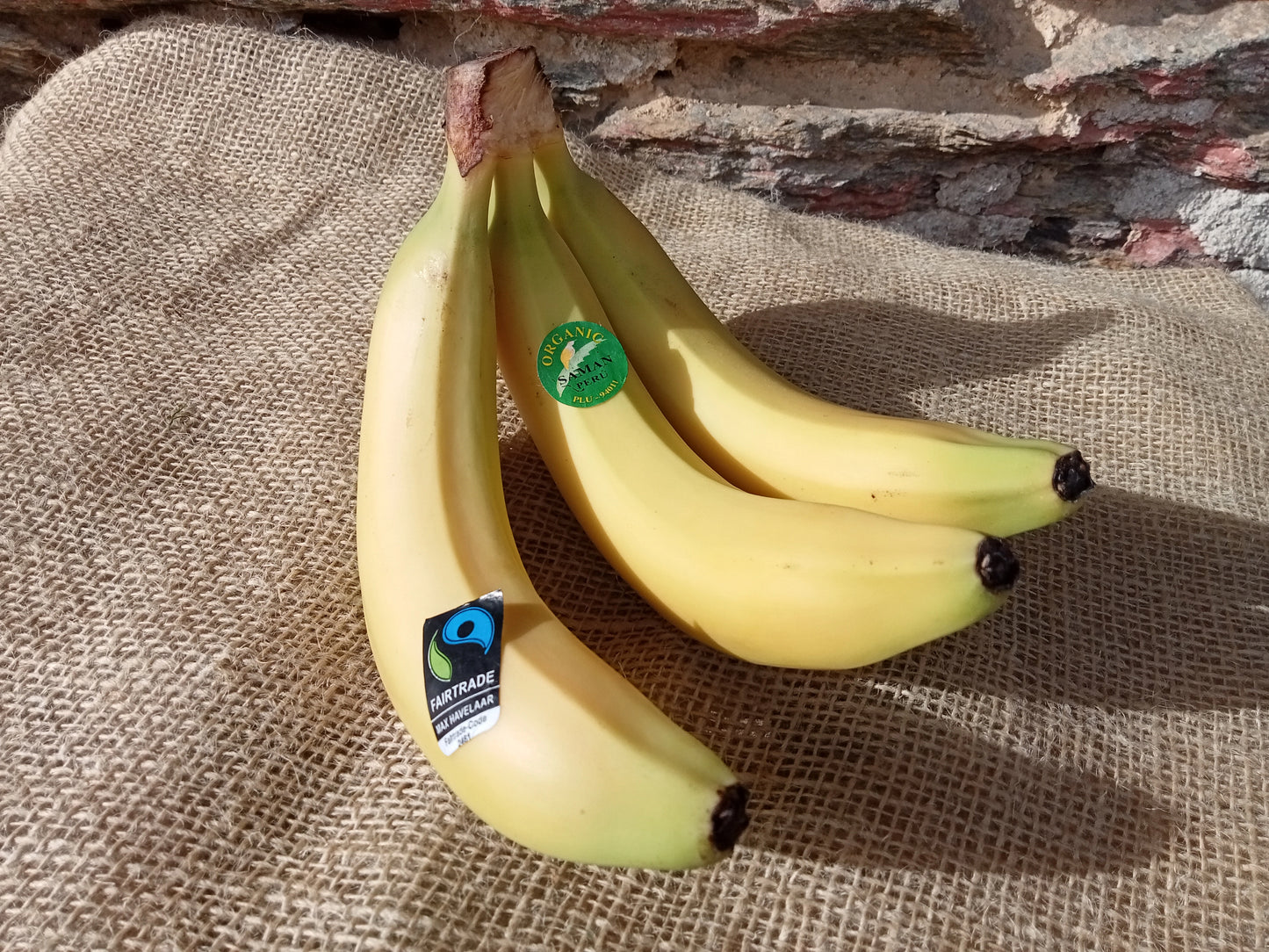 Banane bio