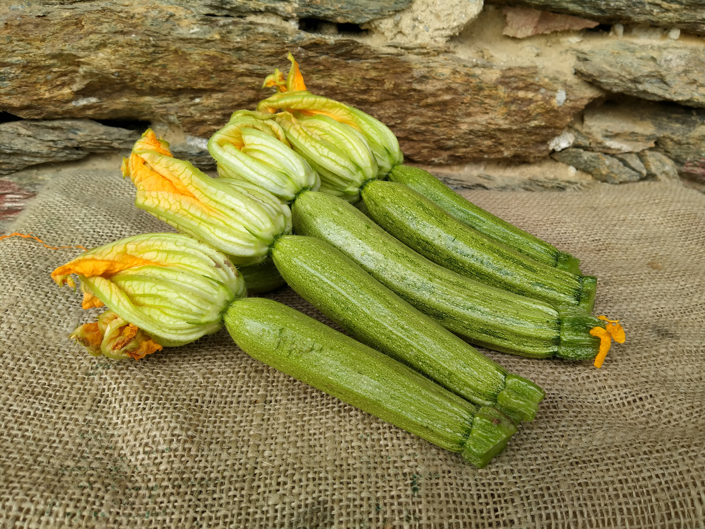 Zucchine Chiare BIO