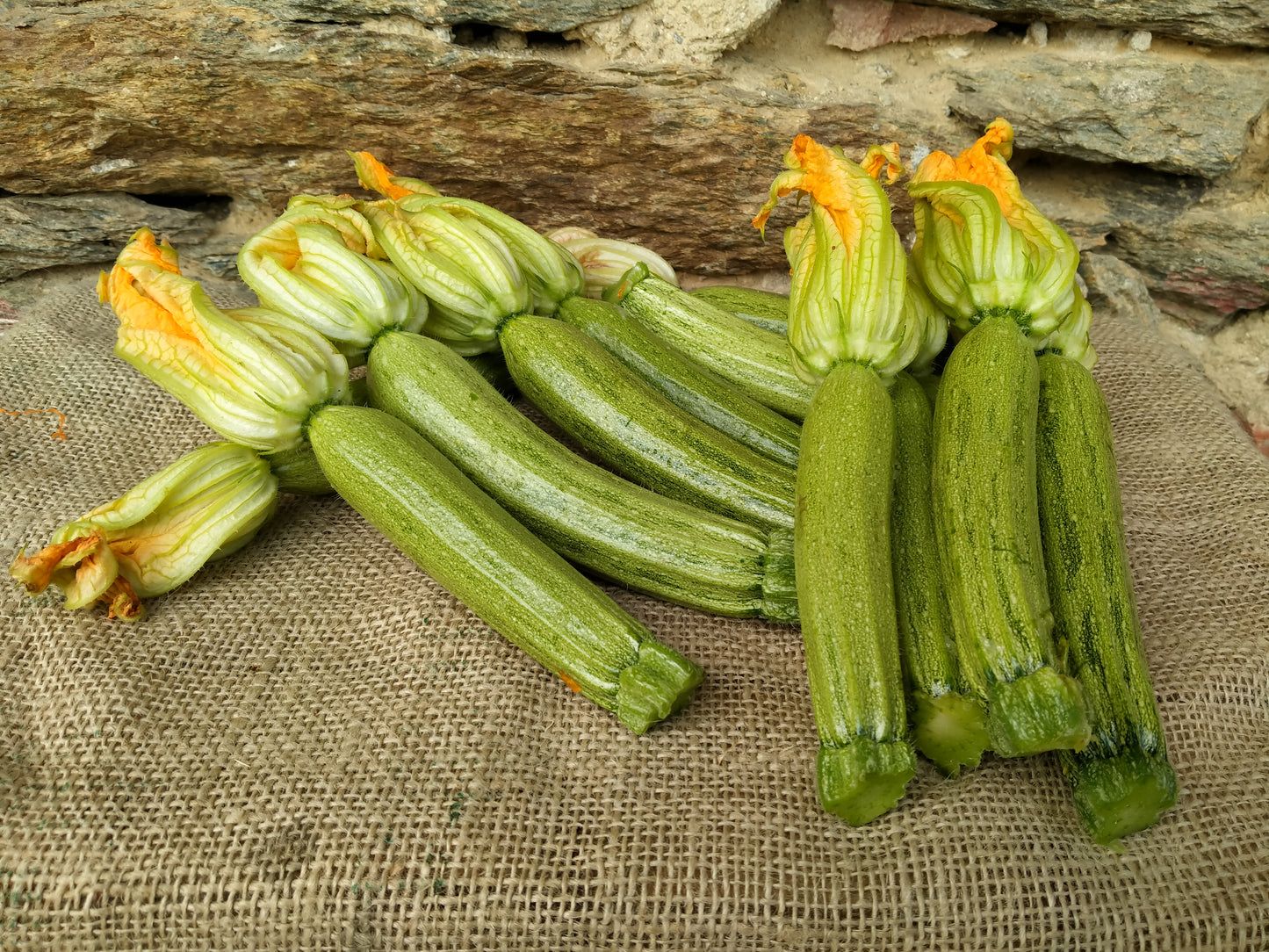 Zucchine Chiare BIO