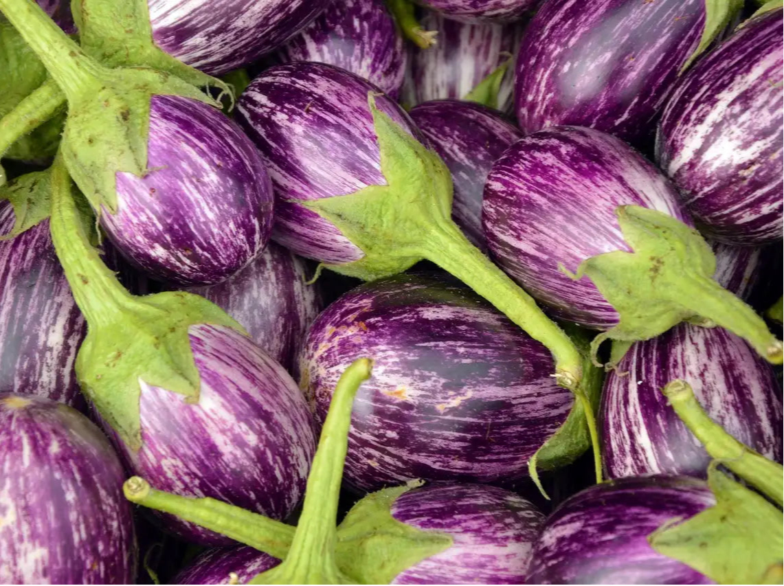 Melanzane Striate BIO