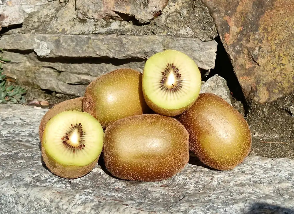 kiwi bio gialli