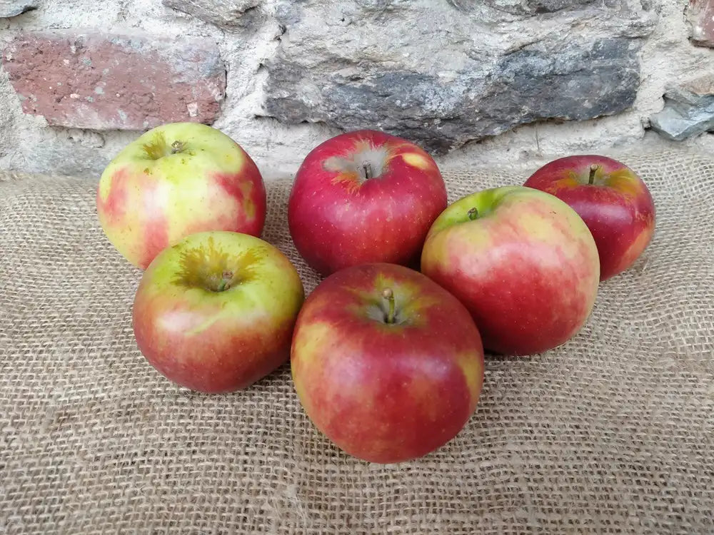 mele biologiche varietà crimson