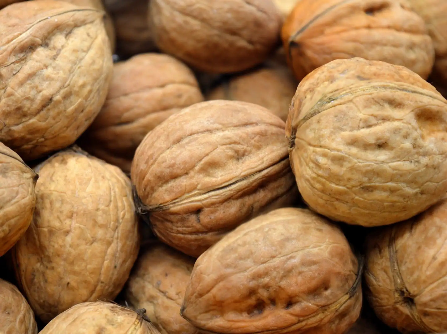 Noci biologiche fresche di Grenoble