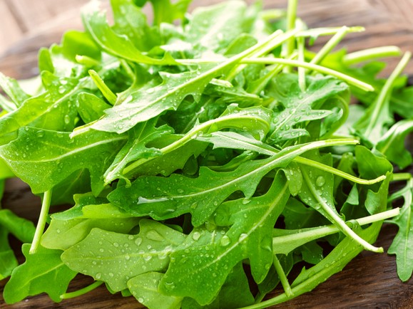 rucola fresca biologica