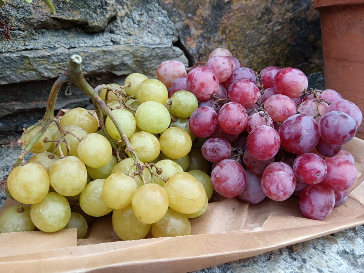 uva biologica fresca di colori misti