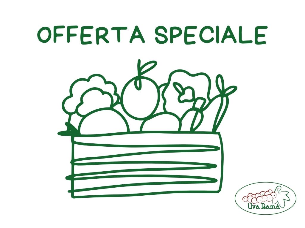 Cassetta di frutta e ortaggi misti a simboleggiare la pagina delle offerte Last Minute