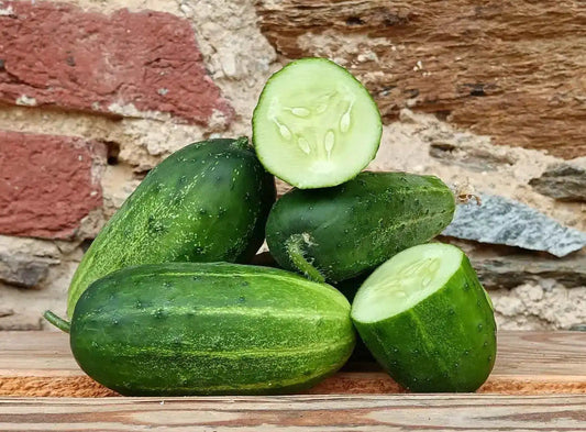 Cetriolini BIO 2