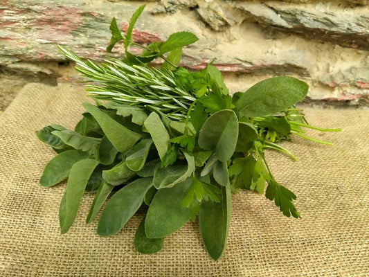 Erbe Aromatiche Mazzetto BIO