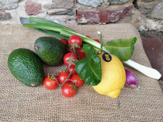 Kit guacamole bio