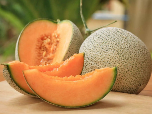 Melone Retato Bio
