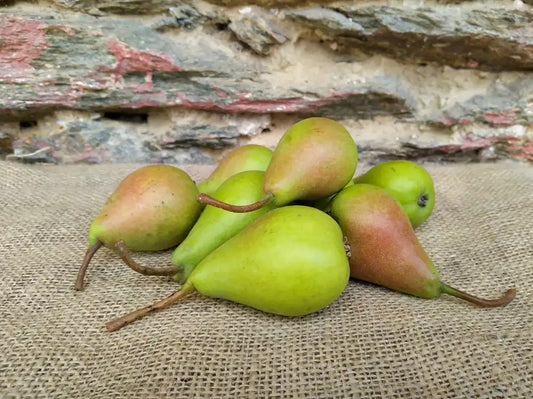 Pere di dimensione medio-piccola dalla buccia verde con faccetta rossa