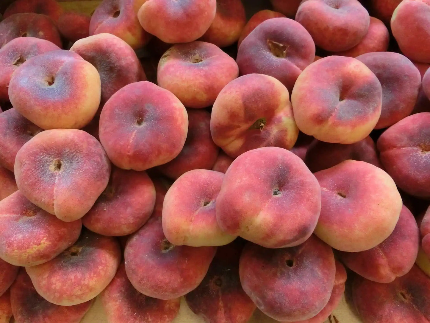Pesche tabacchere BIO