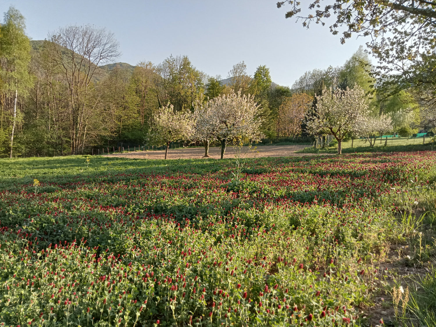 i nostri campi bio in montagna
