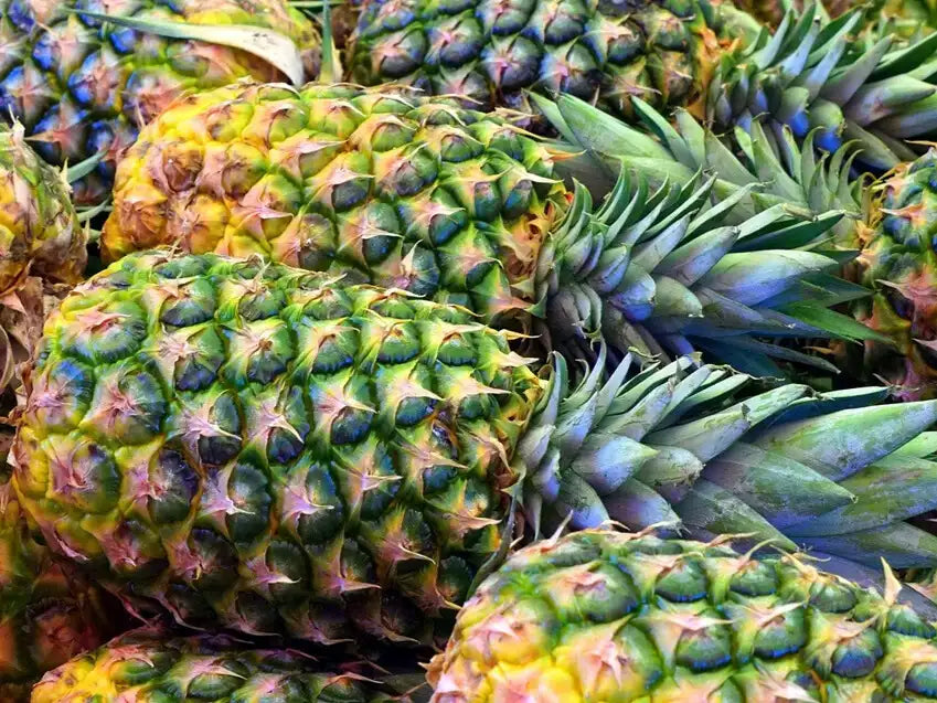 ananas bio