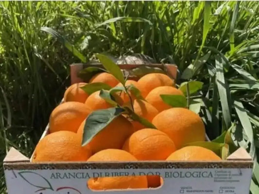 arance ribera navel bio