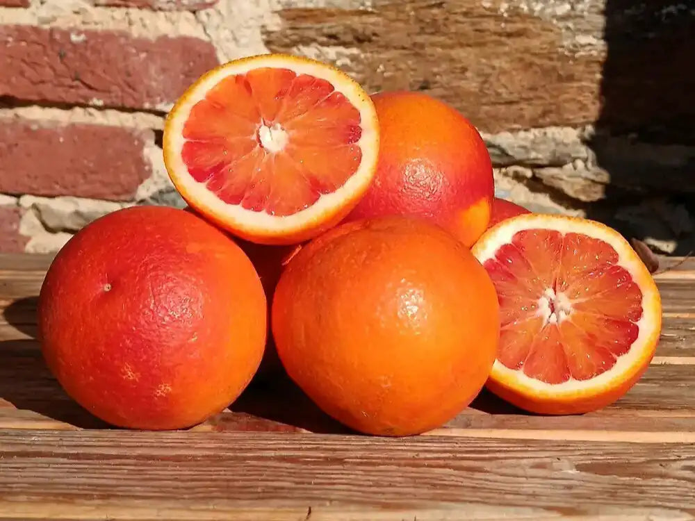 arance tarocco moro bio