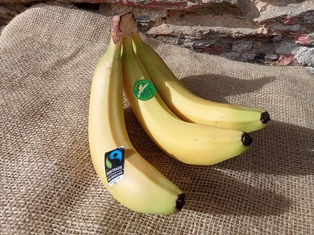 banane bio equosolidali
