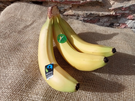 banane bio equosolidali