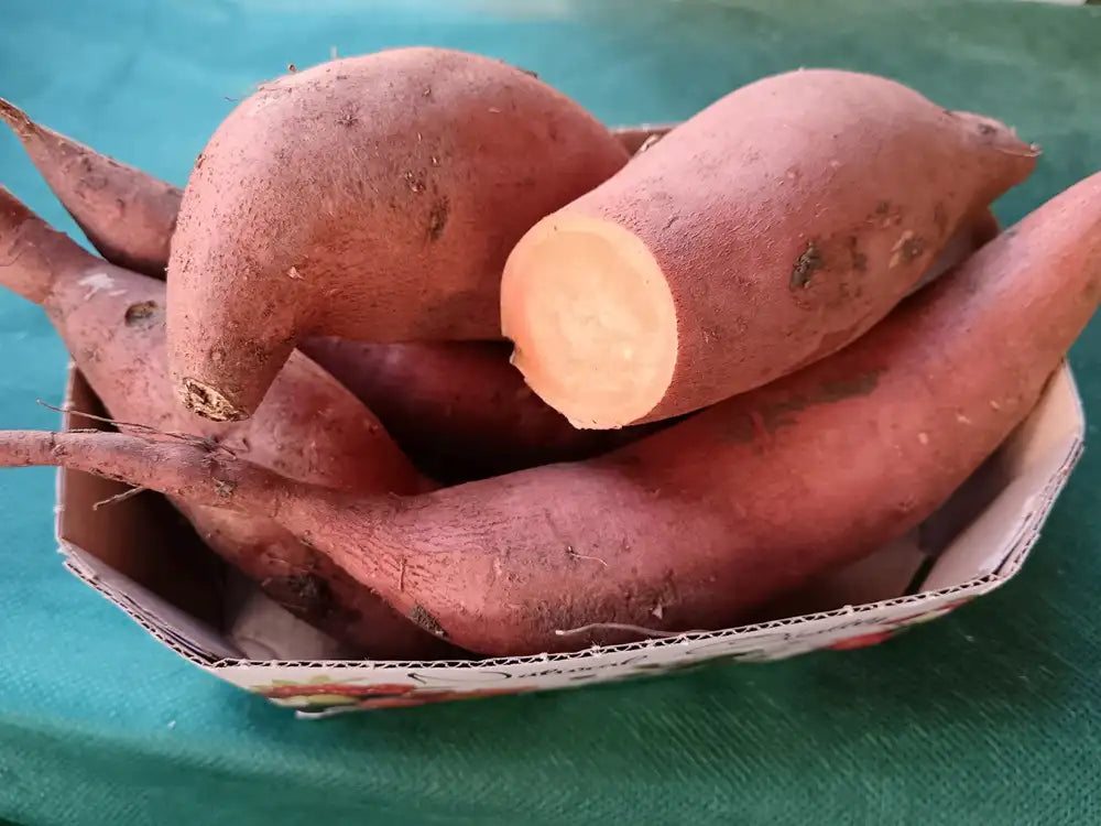 batata biologica a buccia e polpa rosso-arancione