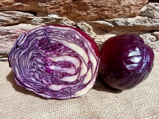 cavolo cappuccio violetto fresco