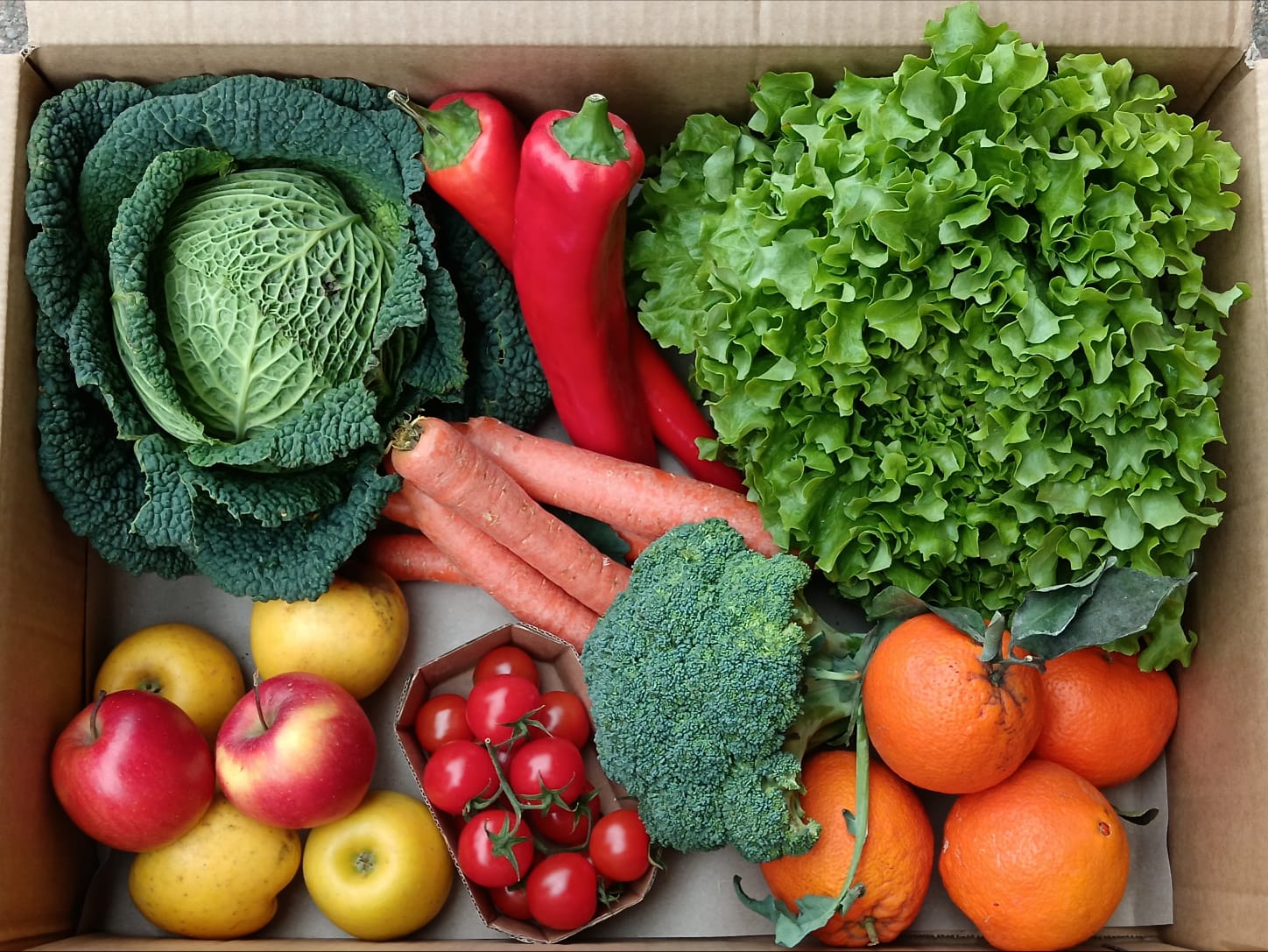 cassetta di frutta e verdura biologica consegnata a domicilio a Torino