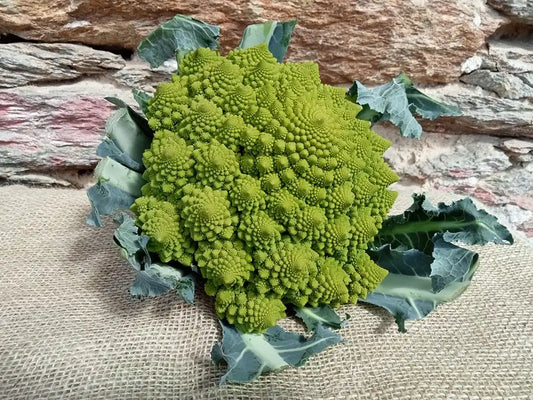 cavolfiore romanesco fresco biologico