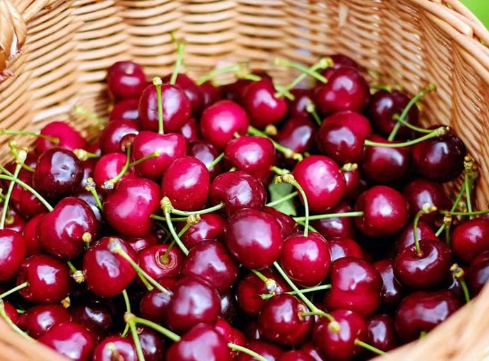 ciliegie fresche biologiche