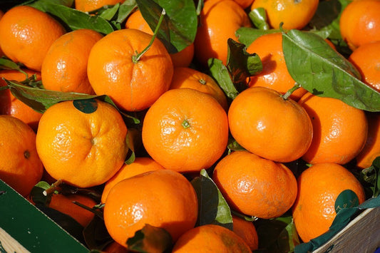 Clementine BIO 1kg