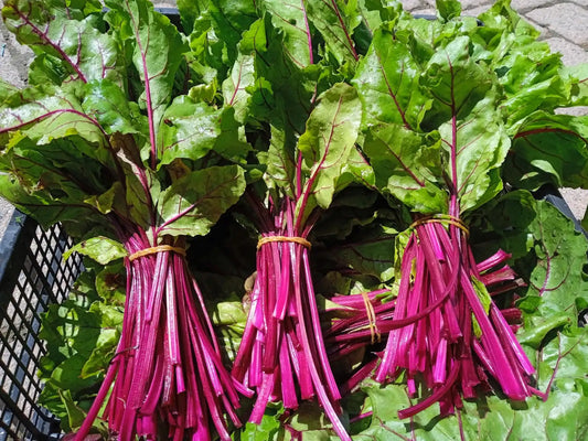 erbette a gambo rosso biologiche a mazzetti
