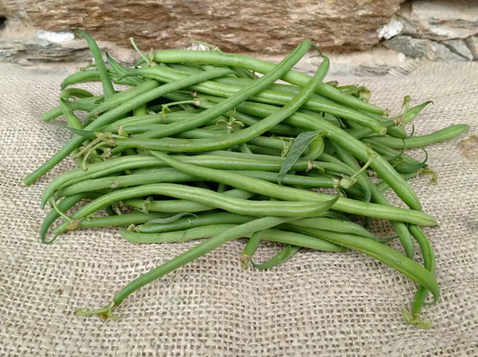 Fagiolini freschi biologici verdi