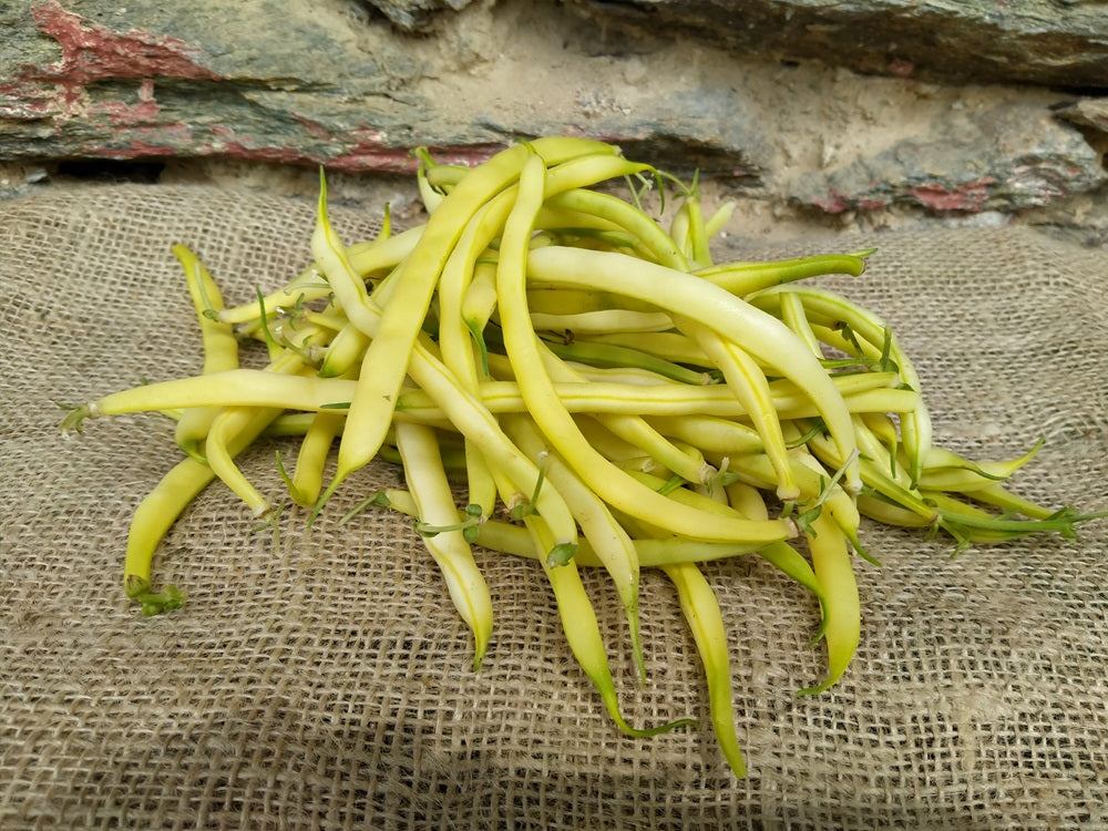 fagiolini gialli freschi biologici