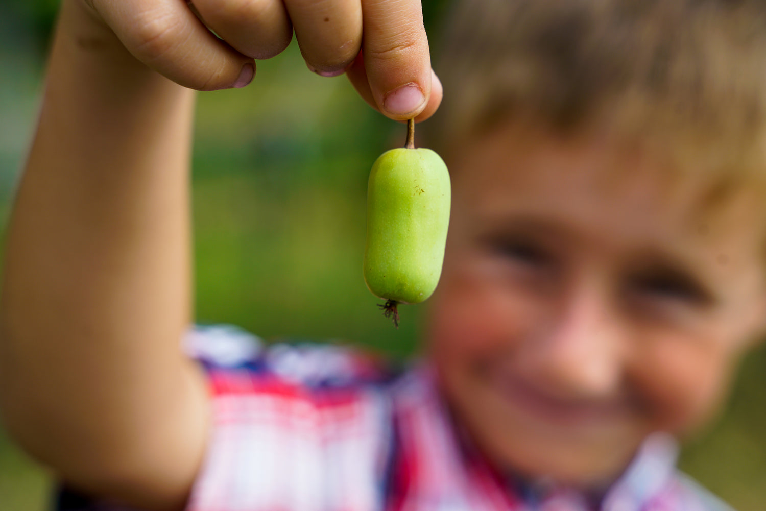 Frutto biologico tra le mani di un bambino