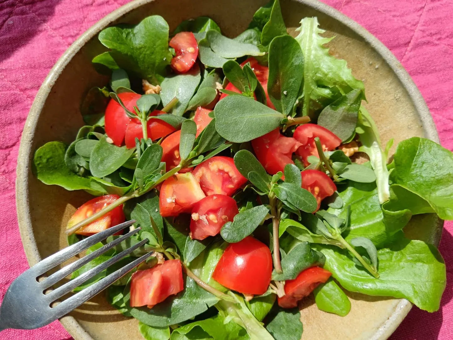 insalata di portulaca fresca e pomodorini