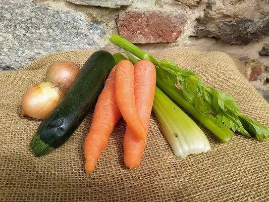 Kit composto da carota, sedano, cipolla e zucchina per preparare un brodo fresco biologico