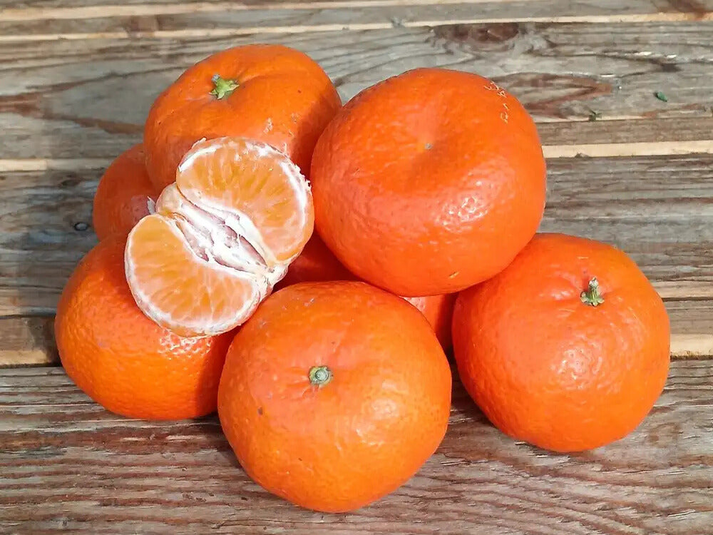 mandarini senza semi bio