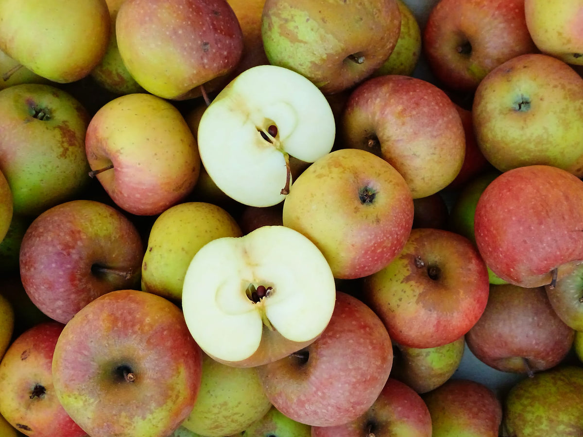 mela biologica di antica varietà piemontese dolce
