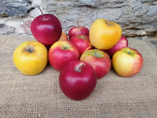 mele miste bio piemonte