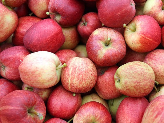 Mele fresche biologiche intere varietà Royal Gala