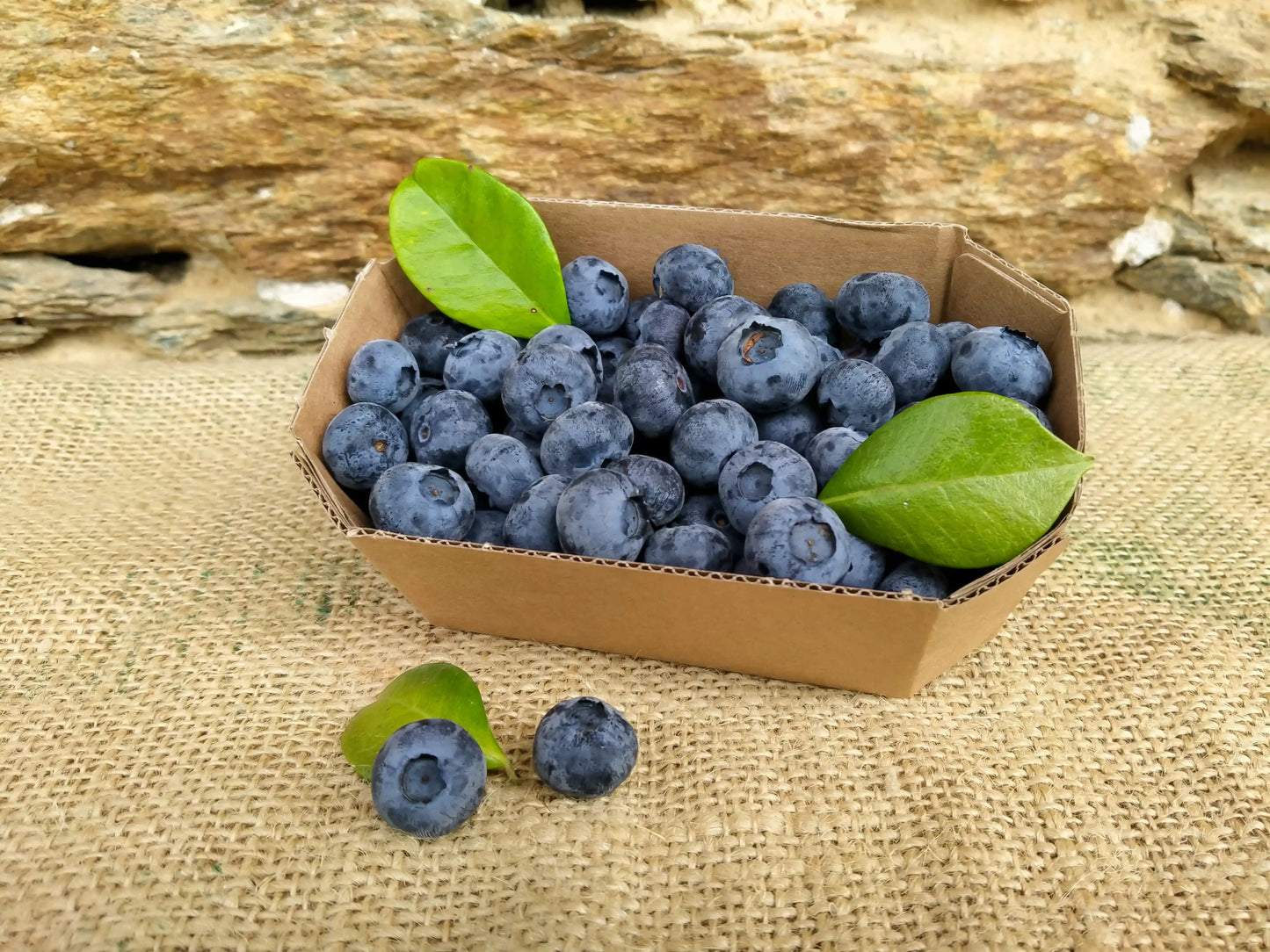 mirtilli biologici in cestino da 250g