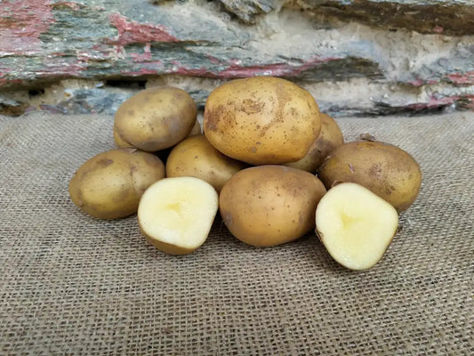 patate biologiche a buccia e pasta gialla