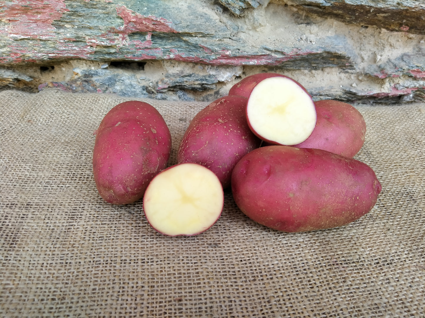 patate biologiche a buccia rossa e pasta bianca