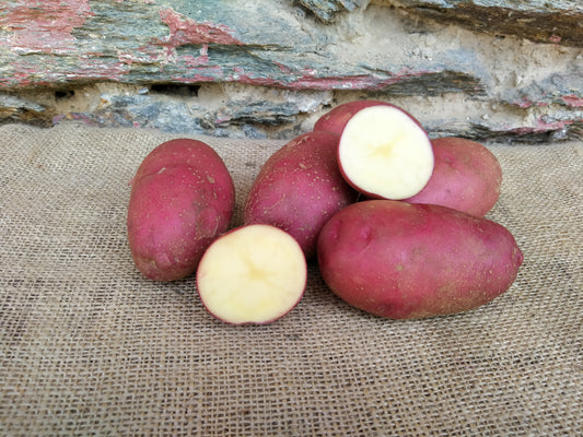 patate biologiche a buccia rossa e pasta bianca