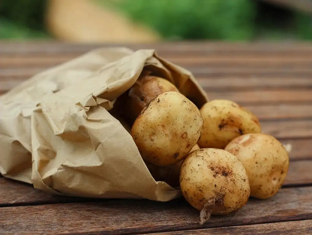 patate novelle bio
