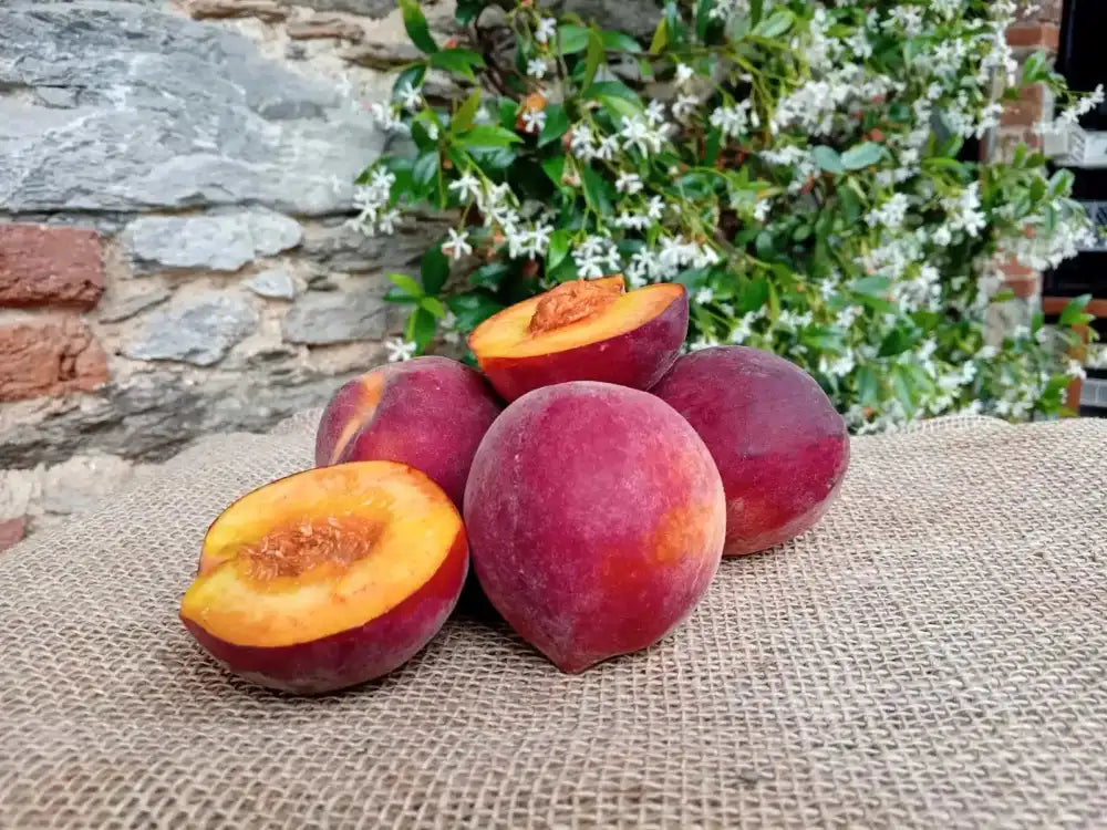 Pesche BIO a buccia pelosa e polpa gialla