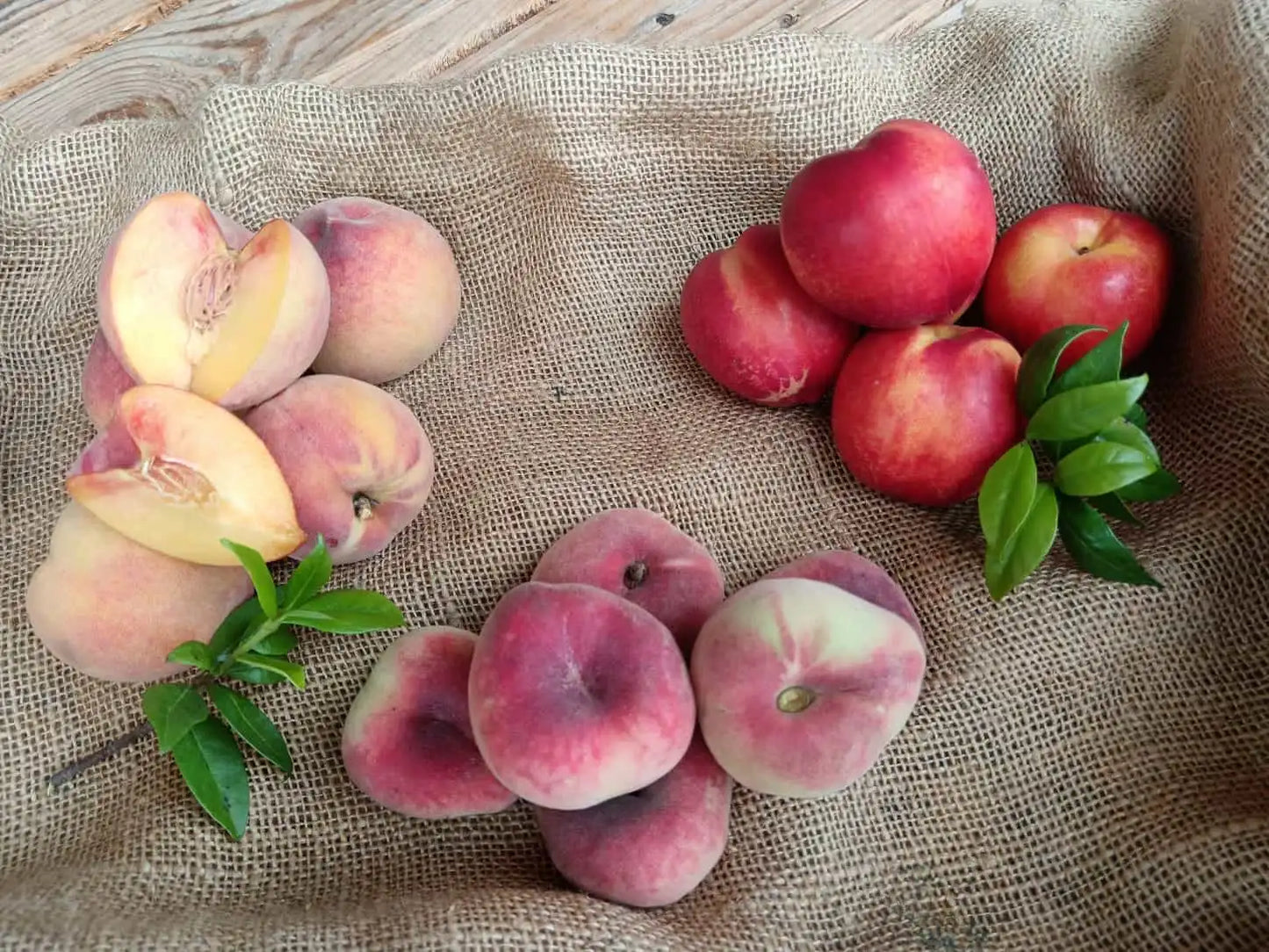 pesche miste bio