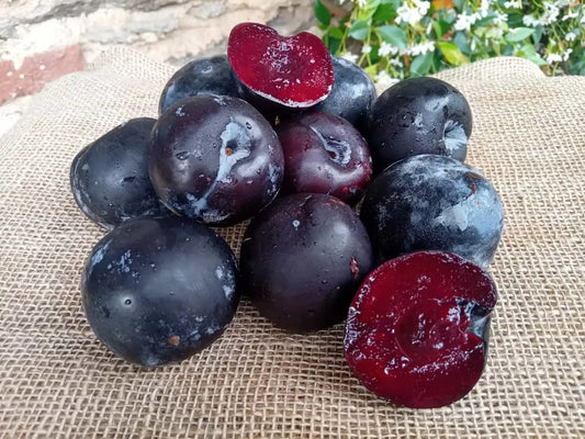 Prugne rosse BIO