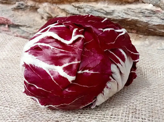 testa rotonda di radicchio orchidea biologico fresco dalle foglie rosso-violacee 