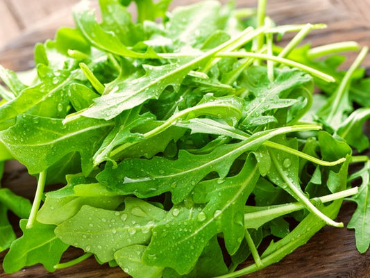 rucola fresca biologica 