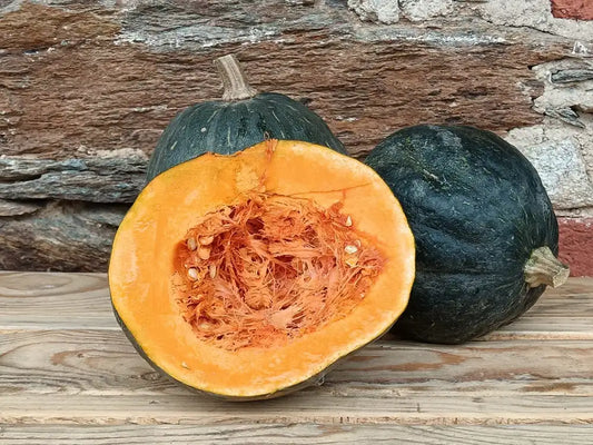 zucca di varietà iron cup dalla buccia verde e polpa seda giallo arancione